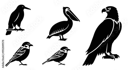 Diverse bird silhouettes vector collection: eagle, pelican, crow, sparrows