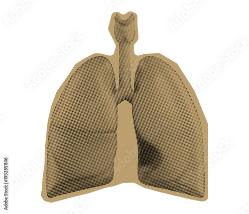 A gold colored intricately designed ornamental piece in the shape of human lungs with a trachea