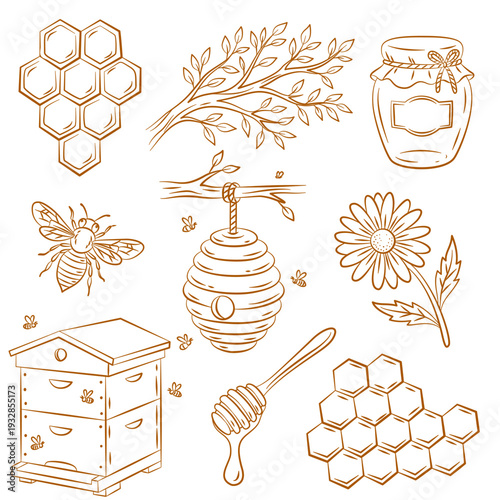 Beekeeping and honey vector clipart in sketch style. Honey apiary, bee, beehives, honey jar, honeycombs. Organic natural sweet food and product