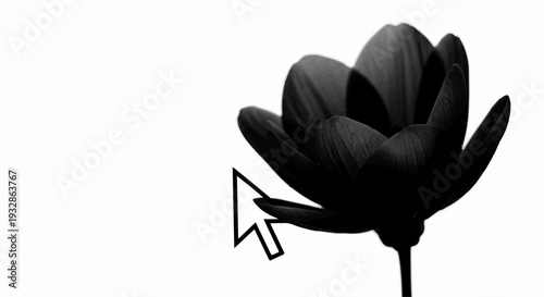 Delicate dark flower silhouette with a cursor pointer touching a petal, representing technology and nature connection.