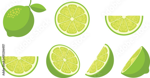 Fresh Green Lime Collection with Whole Fruit, Slices and Wedges Isolated on Light Background Vector Illustration