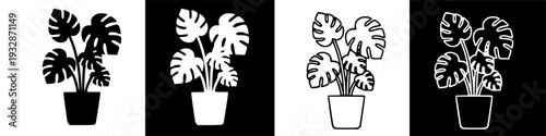 Simple Potted Monstera Plant Illustrations for Indoor Decor and Graphics