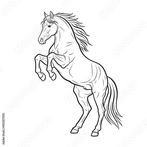white Horse jumping Vector Illustration