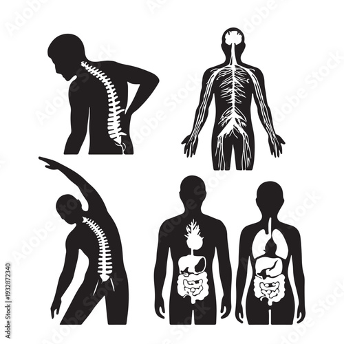 Pixelated silhouettes showing human anatomy including spine pain nervous system and internal organs