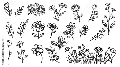 Hand Drawn Floral Line Art Set. Whimsical Spring Flowers and Leaves Outline Collection, Black Ink Botanical Elements