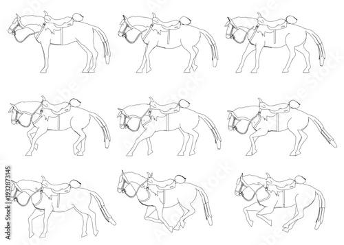 Step-by-step drawing tutorial of a realistic horse with saddle, bridle, and flowing mane.