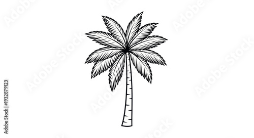 Hand-drawn palm tree illustration, vintage style, tropical foliage, isolated on white