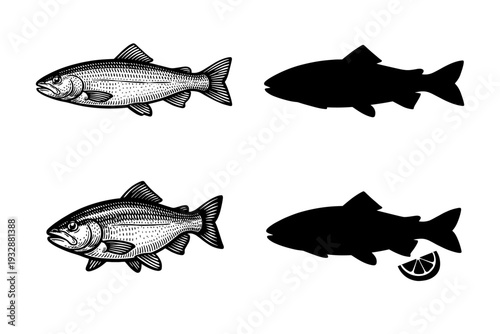 Fish illustrations and silhouettes with lemon slice detail