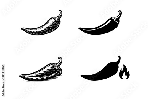 Variety of chili pepper illustrations in vintage and modern styles on