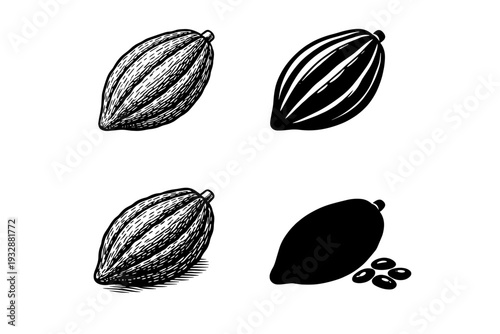 Hand-drawn cacao pods set: detailed botanical illustrations with seeds