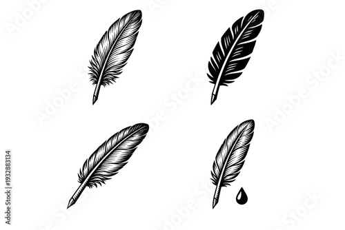 Set of four detailed quill feather illustrations with ink drop