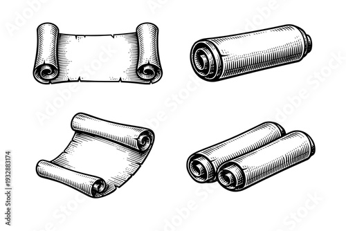 Vintage scrolls set: four hand-drawn rolled papers in black and white