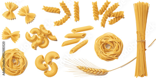 Italian Pasta Types Vector Set with Spaghetti, Penne, Fusilli, Farfalle, Macaroni, Tagliatelle, and Wheat Illustration for Food Design