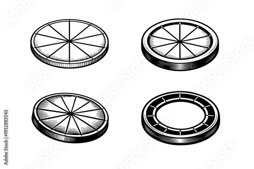 Monochrome circular pie charts in various perspectives