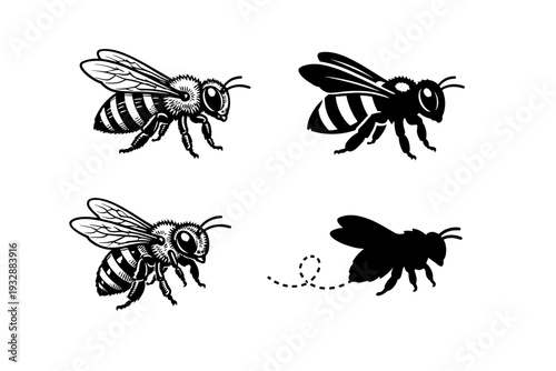 Vector silhouettes of bees: detailed black and white designs with flyi