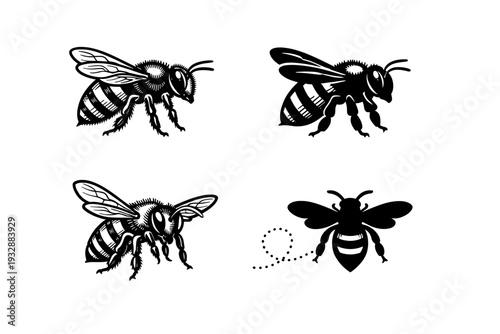 Set of four black and white bee illustrations with unique wing designs
