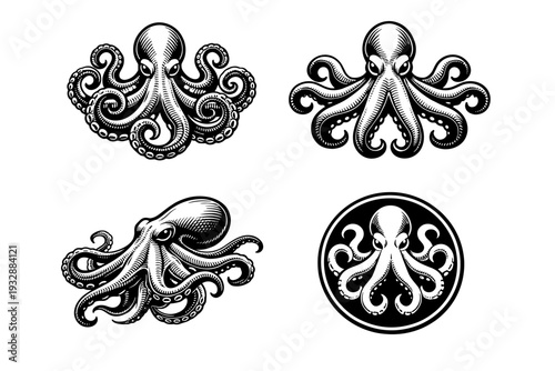Vintage octopus illustrations in black and white