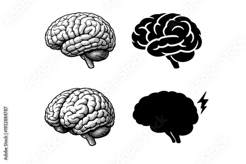 Creative variations of brain illustrations showcasing artistic styles