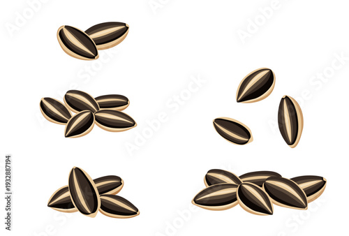 set of sunflower seed Vector eps 10. background, perfect for wallpaper or design elements