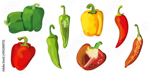 Pepper Set Red Yellow and Green Bell Pepper and Chili Vector Illustration