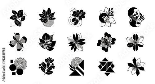 Black and white floral designs with various shapes and patterns, artistic and decorative elements.