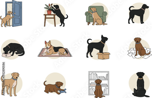 Dog behavior activities collection with pets playing resting training and home lifestyle vector illustration set