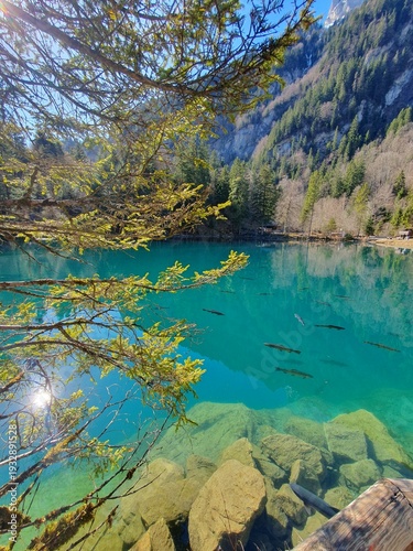 Der Blausee ist trotz seiner geringen Grösse einer der bekanntesten Bergseen der Schweiz. Er ist ein beliebtes Ausflugsziel im Berner Oberland.