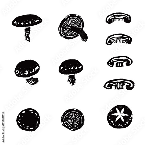 Shiitake Mushroom Variation Set Monochrome