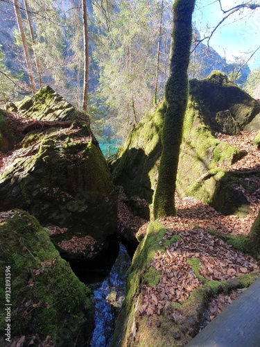 Der Blausee ist trotz seiner geringen Grösse einer der bekanntesten Bergseen der Schweiz. Er ist ein beliebtes Ausflugsziel im Berner Oberland.