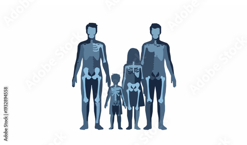 Family Medical X Ray Style Human Skeleton Anatomy Vector Illustration Isolated on White