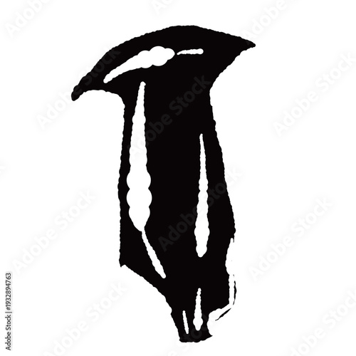 Sliced King Oyster Mushroom Front View Monochrome