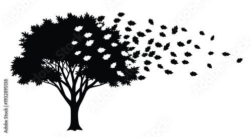 lanu (43) [Converted].eps