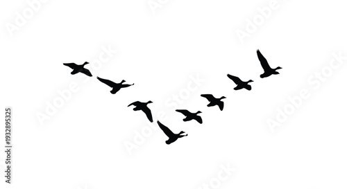 lanu (53) [Converted].eps