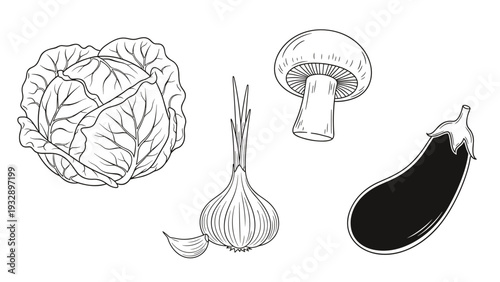 Selection of fresh garden vegetables including a cabbage, garlic bulb, a whole mushroom, and a dark eggplant are shown in a detailed line art style.