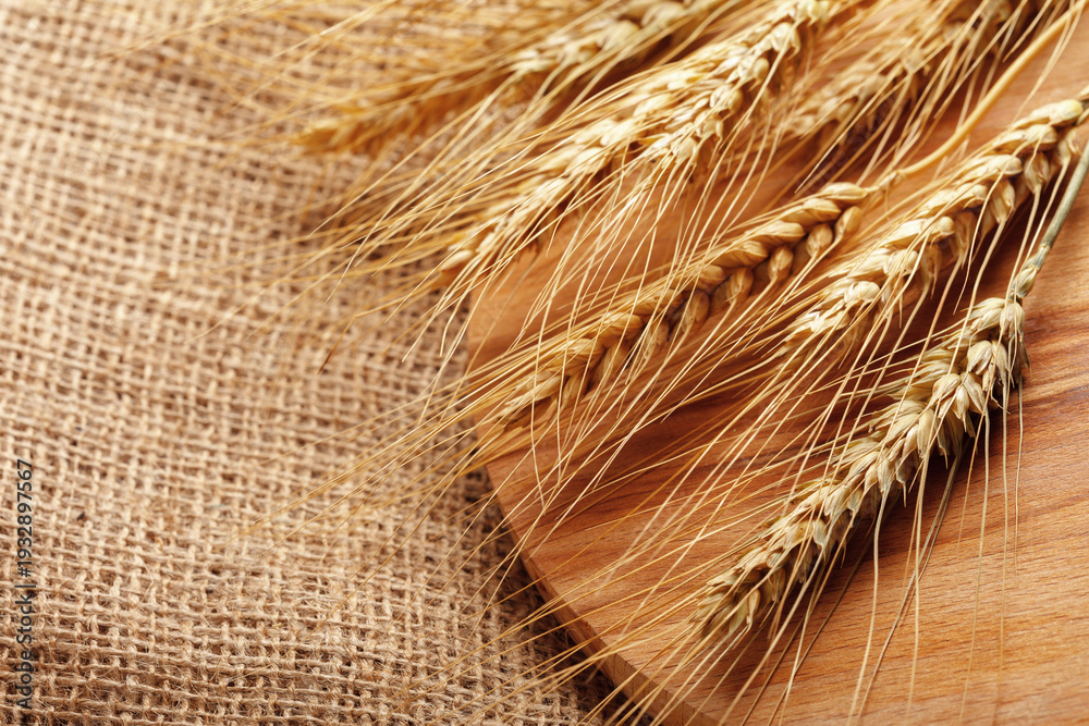 Obraz premium Wheat stalks laid on a wooden board with burlap fabric as background