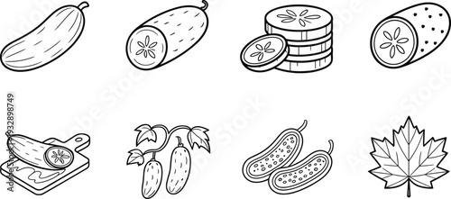 Cucumber line icon set, whole sliced pickled and fresh cucumber outline vector illustration collection for organic food branding design