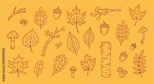 Autumn season collection of hand drawn leaves acorns mushrooms and branches on a yellow background