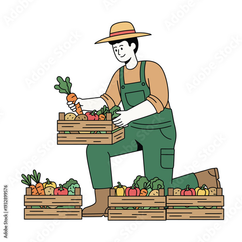 Minimal flat vector illustration of farmer packing harvested vegetables into wooden crates, representing fresh produce distribution, sustainable agriculture, and farm business operations.