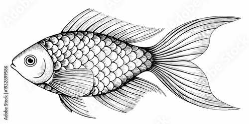 Detailed ink sketch of a goldfish with prominent scales and fins