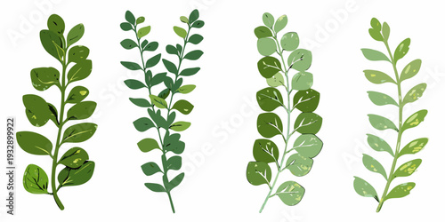 Four sprigs of green leaves arranged vertically in a minimalist style