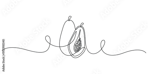 Continuous line drawing of papayas, Concept for logos, orchard branding, or decorative prints