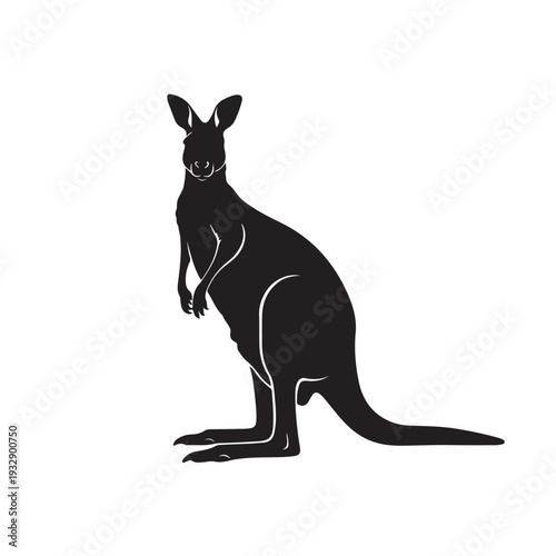 Clean Black Kangaroo Silhouette Vector Standing Looking Forward Australian Wildlife Marsupial Animal Simple Graphic Design Icon Isolated White Background EPS