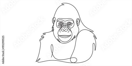 Black and white line drawing of a powerful gorilla looking forward on a white background. Vector, illustration