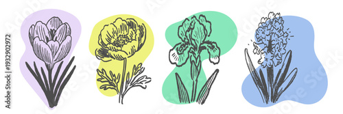 Hand drawn spring flower doodles and botanical sketches for floral design and garden concepts