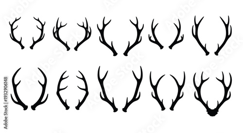 Collection of black antlers in various shapes, a striking silhouette