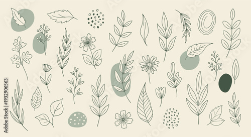 Delicate botanical line art illustrations and abstract shapes in a muted earthy color palette on a neutral background