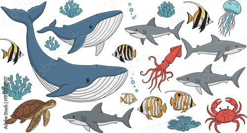 Marine ocean animals collection with whales sharks turtle squid fish and underwater sea life illustration