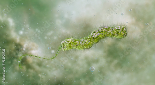 Foto Vibrio vulnificus bacterium swimming in aquatic environment showing polar flagellum, hairy surface