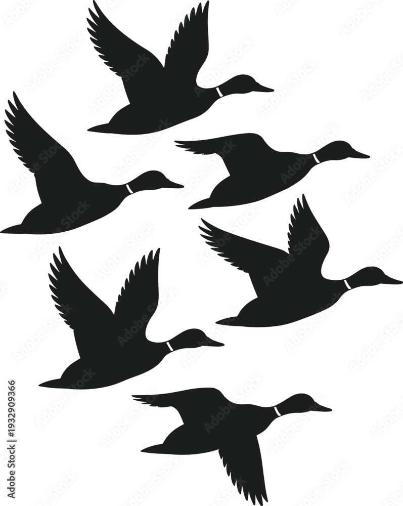 Fototapeta premium Flock of flying ducks silhouette vector graphic