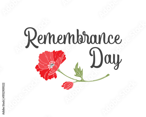 Inscription Remembrance Day with Poppy flowers hand drawn, on white background.